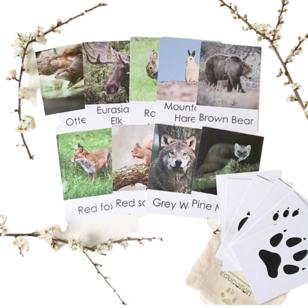 Little Robin Education - 12 British Mammal Track Fact Cards-Learning Toys-Little Robin Education-Eco Lelu